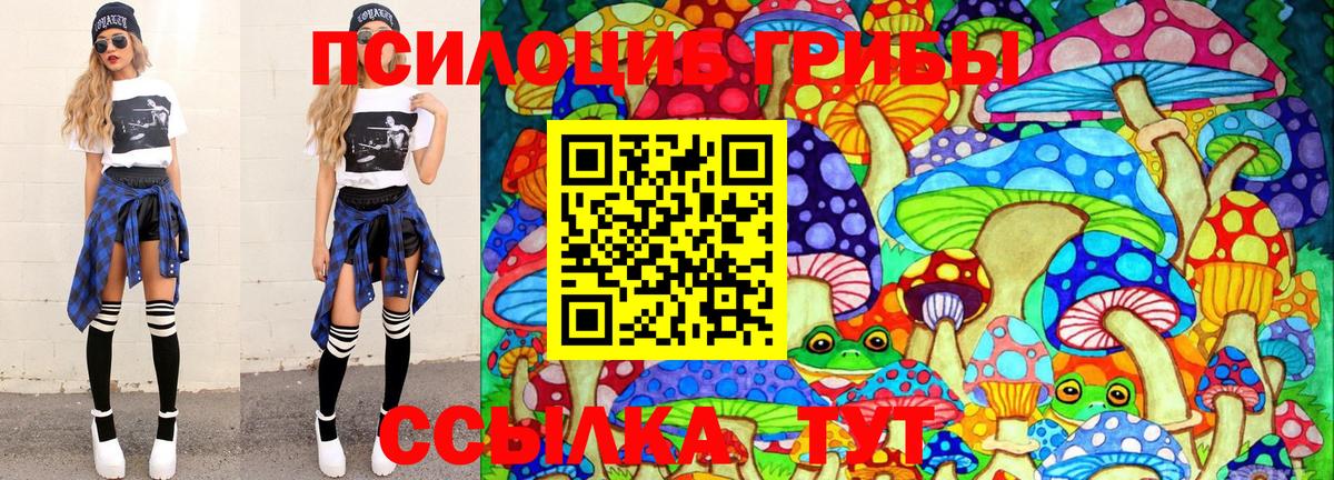 Псилоцибиновые грибы прущие грибы Ивантеевка